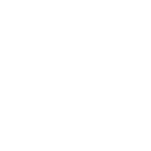 Safety Assurance